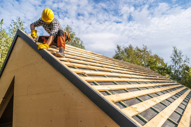Best Roof Gutter Cleaning  in Mariposa, CA