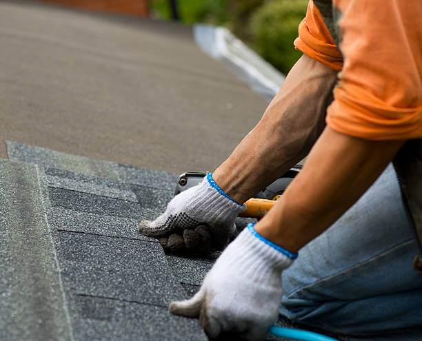 Roof Gutter Cleaning in Mariposa, CA